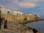 Un lots de terrain pied dans l'eau a hammamt