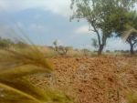 2000 m entre bir bouragba et borj hfaydh a vendre