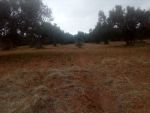 1450 m a 5 min de la plage de hammamt