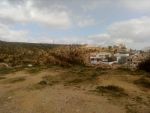 Terrain agricole 10 min hammamet ville