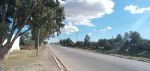 1000m commercial a sidi jdidi
