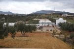 Terrain jihen hammamet birbouregba