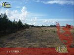 A vendre des lots de terrains sur la route de ceinture