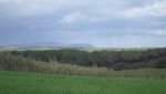 Terrain agricole a kelibia ref t