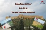 Un terrain à kelibia profitez