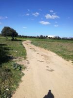 قطعة أرض قريبة للبحر في كركوان