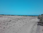 Terrain a vendre kerkouane dar allouch