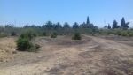 Terrain emir à la sokra