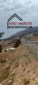 Terrain à menzel salem