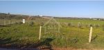 Un terrain de 1000 m² à vendre à 85 md à sidi hammed