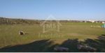 A vendre un terrain de 1000 m² à 85 md