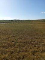 Av 6 hectares sur la route entre bouficha et zaghouan