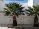 Av une villa de style américain avec jardin afh baraket sahel