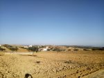 Terrain hanen à latrach