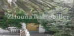 A vendre une belle villa à carthage hannibal 3641vv