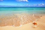 Villa fleuriste réf:  hammamet nord pieds dans l'eau
