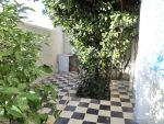 Dans les vergers de hammamet