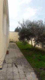 Villa soliman a hammamet