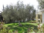 Villa eline a cité kharrouba hammamet