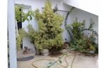 A vendre une villa à hammamet centre de 150m