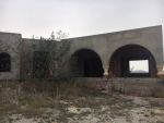 Villa oedipe a à hammamet sud
