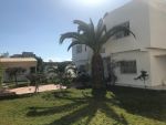 Villa berlin à mrezka