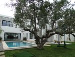 Villa lotus zone chraf hammmamet