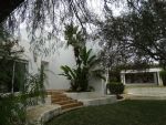 Villa panda située à hammamet