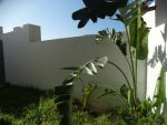 Villa scandinave réf:villa scandinave réf: