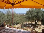 Villa flower hammamet route ceinture a