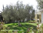 Villa iline hammamet nord cité kharrouba a