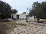 Villa citrus c av à hammamet