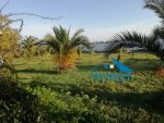 A vendre une villa de compagne 2500 avec piscine