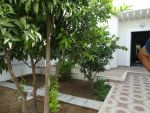 Villa sokra a vendre