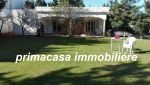 Villa dora la sokkra
