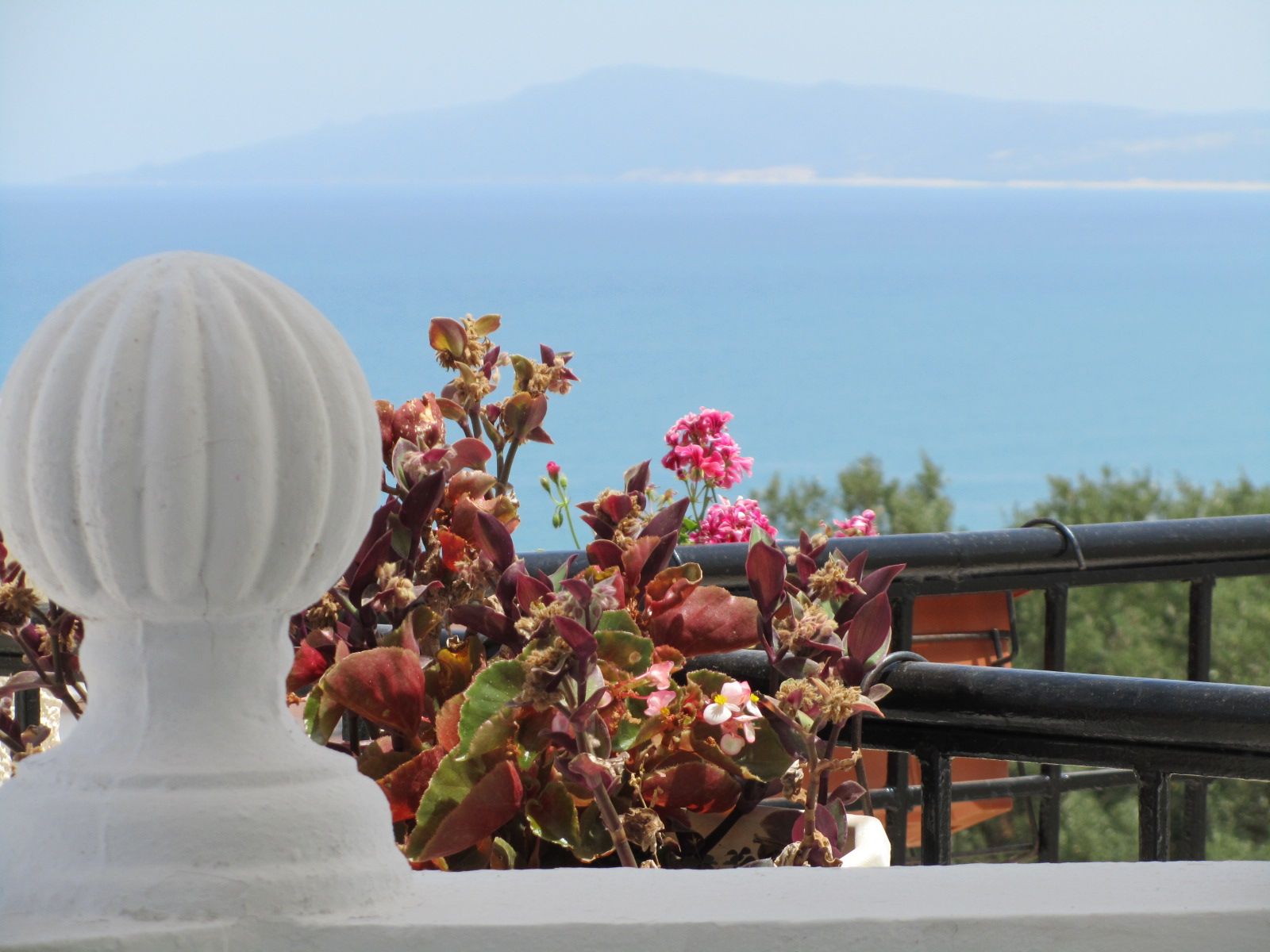 Vue de la terrasse