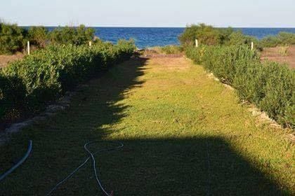 Au bord de la mer