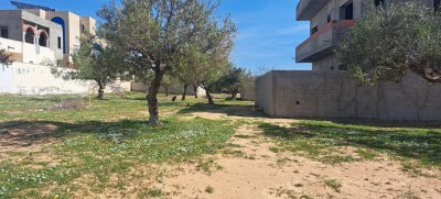 un lot de terrain rectangulaire de 220m² à mrezga hammamt