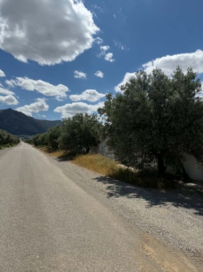Magnificent land of 7,800 m²: an exceptional opportunity!
