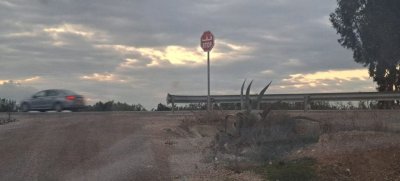 for sale beautiful plot 150m not far from hamammet yessmin