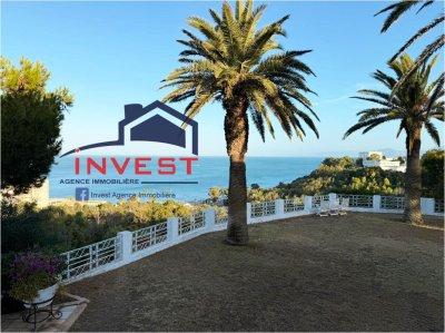 Charming villa with sea view in Carthage