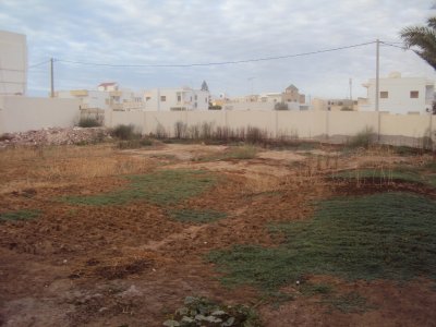 Land of 811 m² Road EL AIN km 2