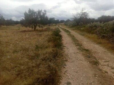 3 hec a sidi jdidi hamammet