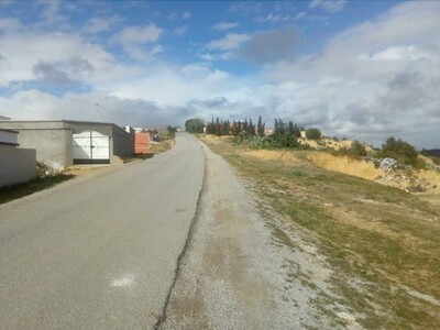 5000m sur la route principale
