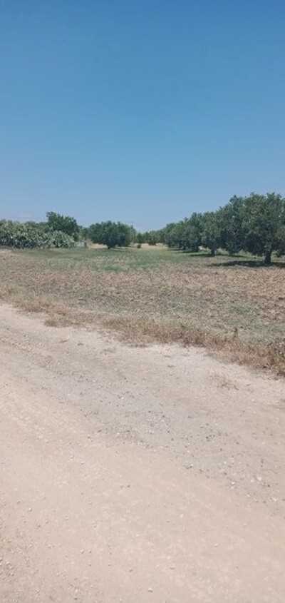 hec agricole zone bouficha
