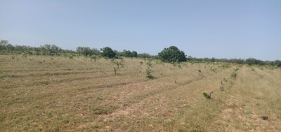 Terrain agricole de un hec et 1000m nu