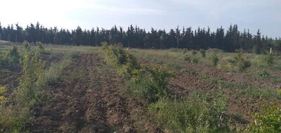 terrain de 1 HEC ET 1000m