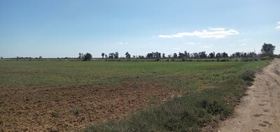 terrain agricole de un hec et 6000m