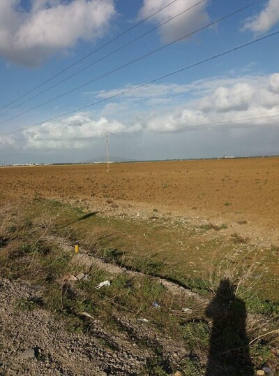 a solimen nabeul terrain agricole de 23 hectares l’eau et l’élec