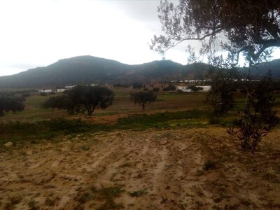 nabeul a bouargoub un hectare agricole a 15min de centre ville